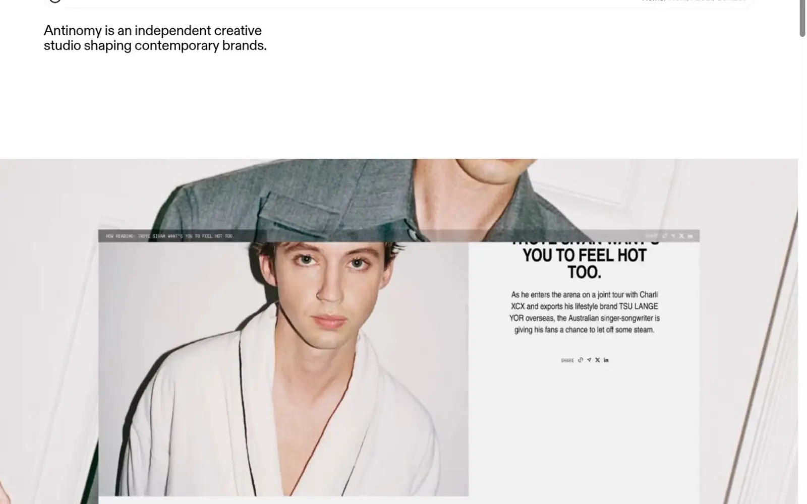 Preview of Antinomy Studio's editorial website